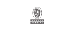 bv1